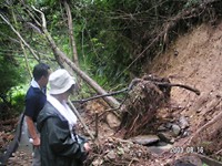 ������͓��n���������