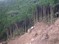 ������͓��n���������