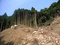 ������͓��n���������