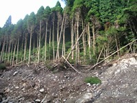 ������͓��n���������