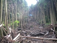 �����[��n���������