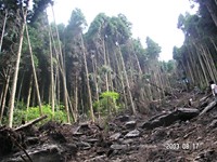 �����[��n���������