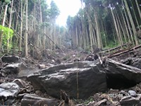 �����[��n���������