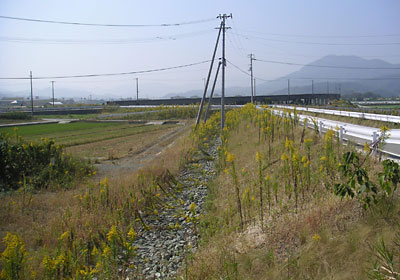 �����グ�������H