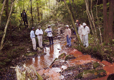 �{���Ȃ琴��������Ă���͂��̈���J��